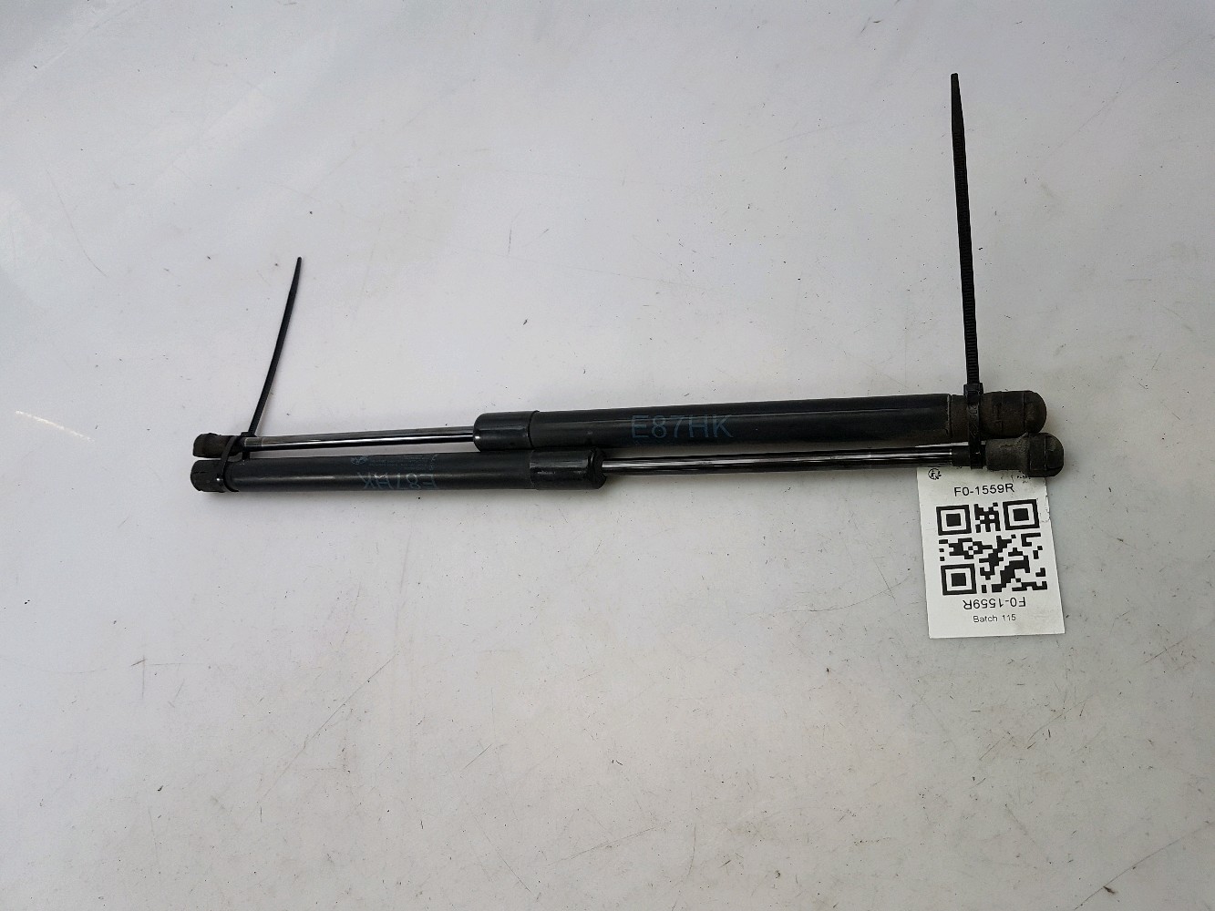 F0-1559R