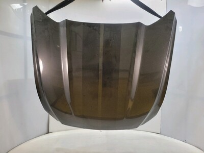 2132475 Ford MUSTANG