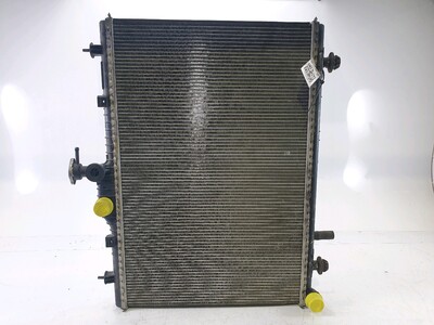 214107313R Renault KOLEOS