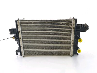 214109135R Renault CLIO