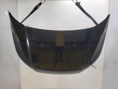 1896136 Ford ECOSPORT