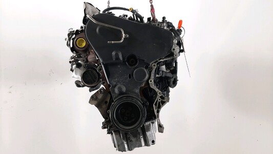 CKFC Seat LEON