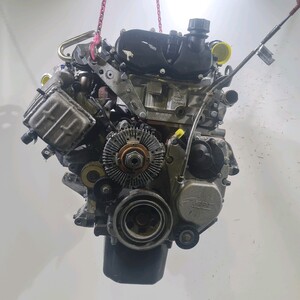 F1CFL411G Iveco DAILY