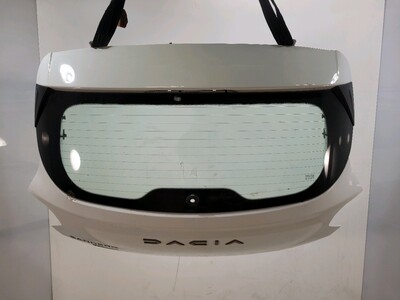 901008773R Dacia SANDERO