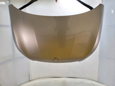 98 021 631 80 Peugeot 308