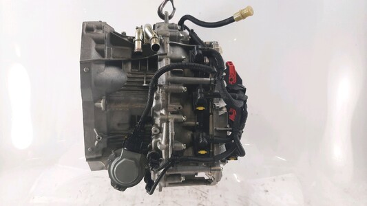 DW5006-9991R Renault GRAND SCENIC SCENIC