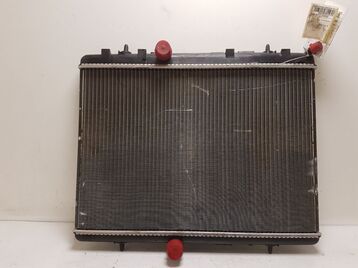 0000133379 Peugeot Citroen 308 C4