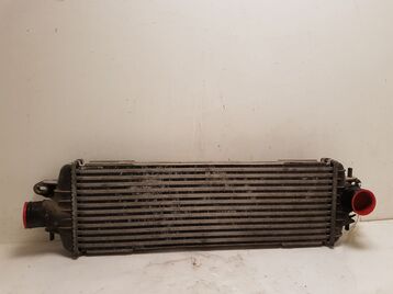 8200219497 Renault TRAFIC