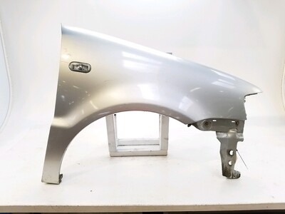 Right front fender - 6N0821022G