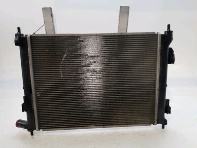 25310H8000 KIA RIO