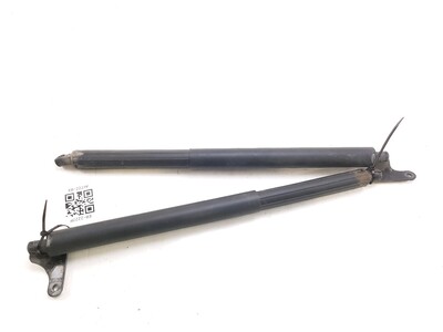 Paire verins coffre hayon malle occasion - Mercedes CLASSE GL - GPA-21-0000218