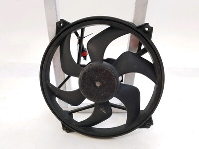 616GPA00868C1GO Peugeot 406