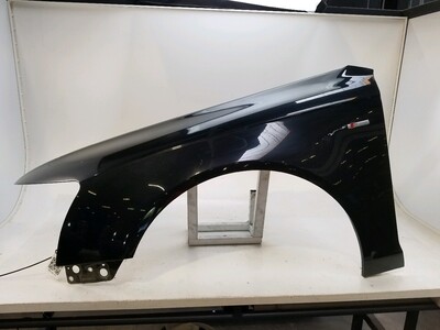 Left front fender - 4F0821103F Left front fender - 4F0821103F