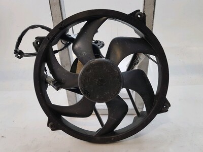 616GPA00900C1GO Peugeot 407 SW