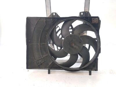 616GPA02123C1GO Peugeot 207 SW