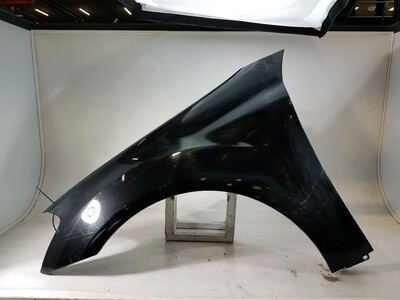 Left front fender - 1648810101 Left front fender - 1648810101