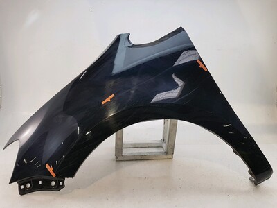 Left front fender - 7N0821021B Left front fender - 7N0821021B