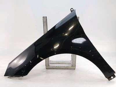 Left front fender - 1698800918 Left front fender - 1698800918
