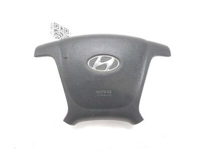 569002B000HZ Hyundai SANTA FE