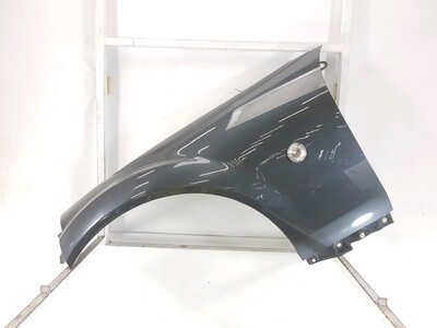 Left front fender - N12152210C Left front fender - N12152210C
