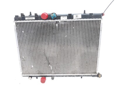 16 100 082 80 Peugeot 206 + 206