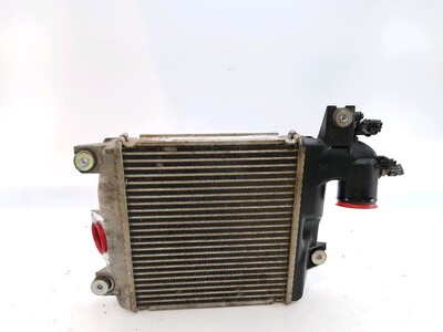 1794030080 Toyota LANDCRUISER