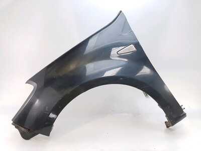 Left front fender - 631017245R Left front fender - 631017245R