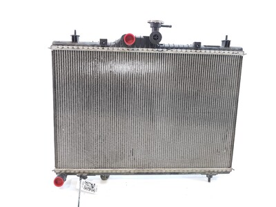 214006645R Renault KOLEOS