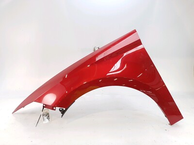 Left front fender - 5F0821021G Left front fender - 5F0821021G