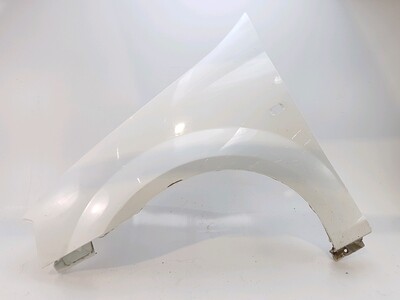 Left front fender - 6001549971 Left front fender - 6001549971