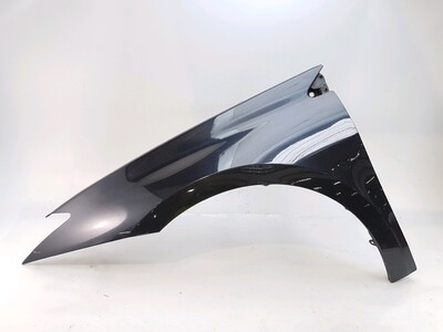 Left front fender - 631010032R Left front fender - 631010032R