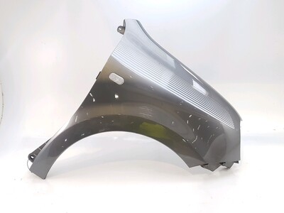 Right front fender - 631005877R Right front fender - 631005877R