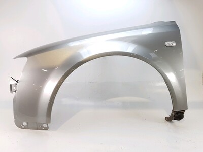 Left front fender - 8E0821105B Left front fender - 8E0821105B