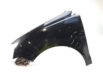 Left front fender - 6Q0821105E Left front fender - 6Q0821105E
