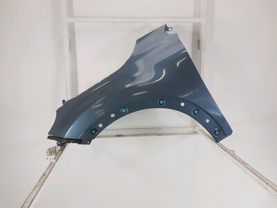 Left front fender - ENTO-199-221 Left front fender - ENTO-199-221