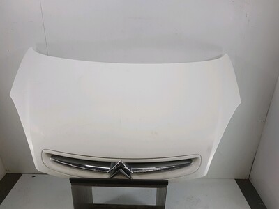 7901 H4 Citroen XSARA PICASSO