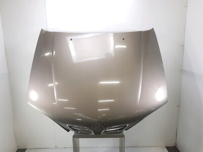 65100-9F531- Nissan PRIMERA