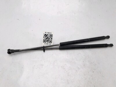 689600W243 Toyota PRIUS