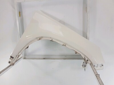 Right front fender - 5N0821106A
