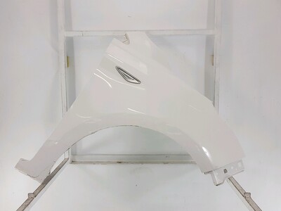 Right front fender - 1904950