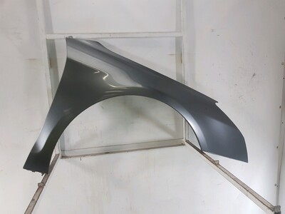 Right front fender - 00007841X7