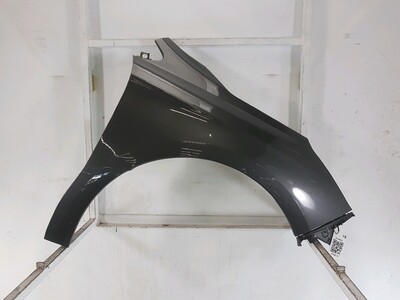 Right front fender - 00007841AX