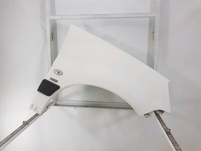 Right front fender - 9824691280