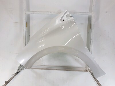 Left front fender - 9672994980 Left front fender - 9672994980