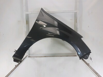 Right front fender - 631005379R