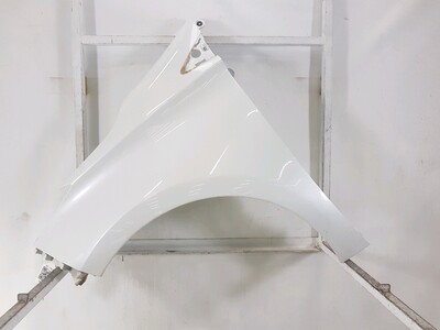 Left front fender - 631010917R Left front fender - 631010917R