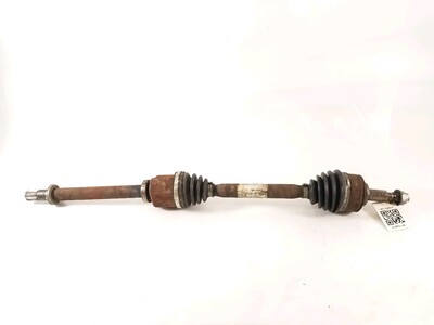 8200664843 Renault SCENIC