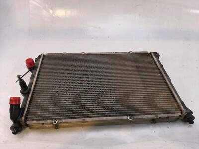 7700838133 Renault MEGANE MEGANE SCENIC