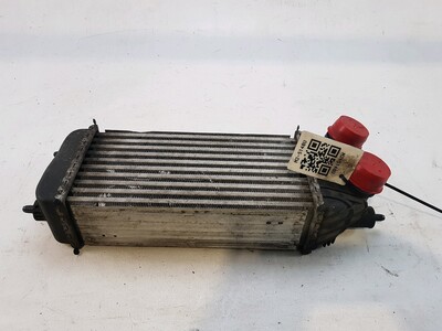 14 400 845 80 Citroen Peugeot JUMPY EXPERT