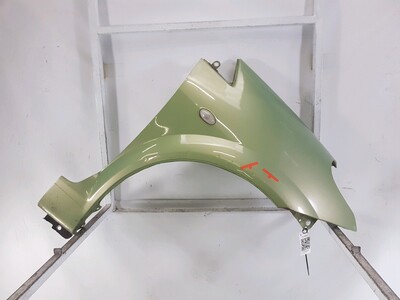 Right front fender - 00007841P7